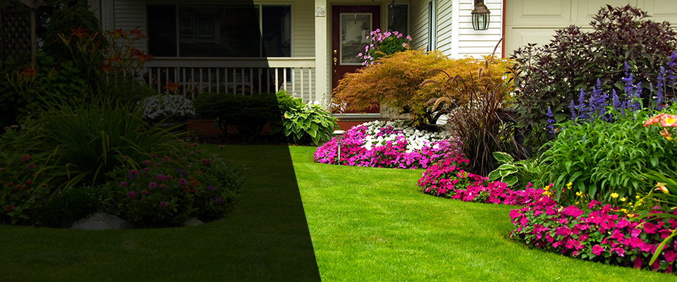 Harlingen Landscapers