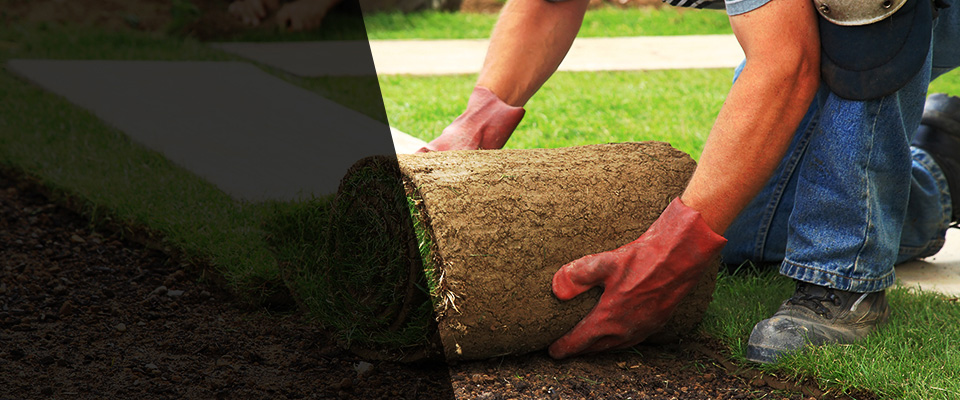 Harlingen Landscapers